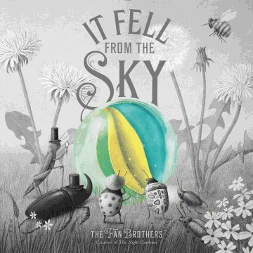 It fell from the sky book cover